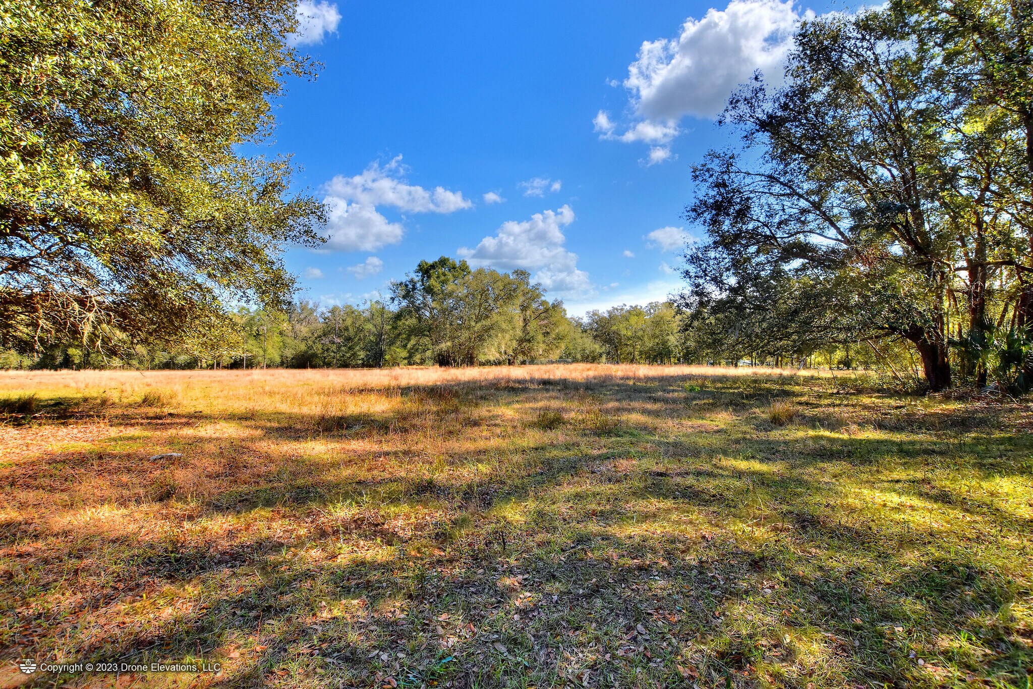 McIntosh Road, Plant City, FL 33565 Plant City Lake Preserve 68±