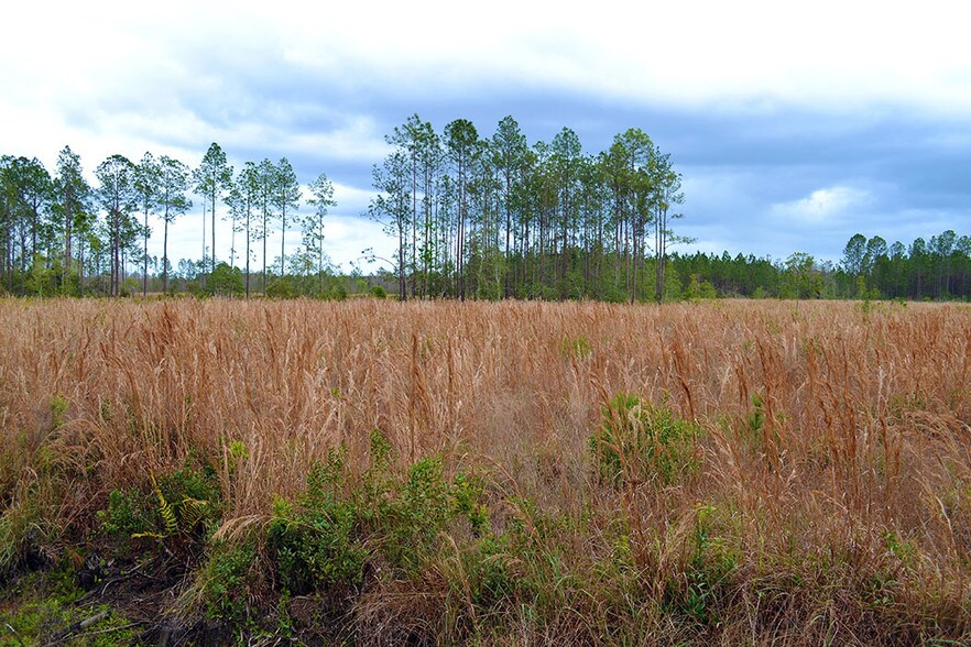 SR 40 Rd, Daytona Beach, FL for sale - Building Photo - Image 1 of 1