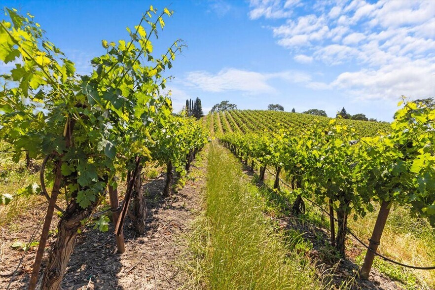 13404 Flora Ranch Rd, Healdsburg, CA for sale - Other - Image 3 of 16