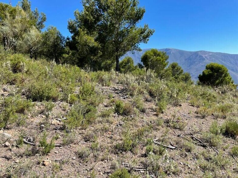 Land in Carataunas for sale - Building Photo - Image 1 of 8