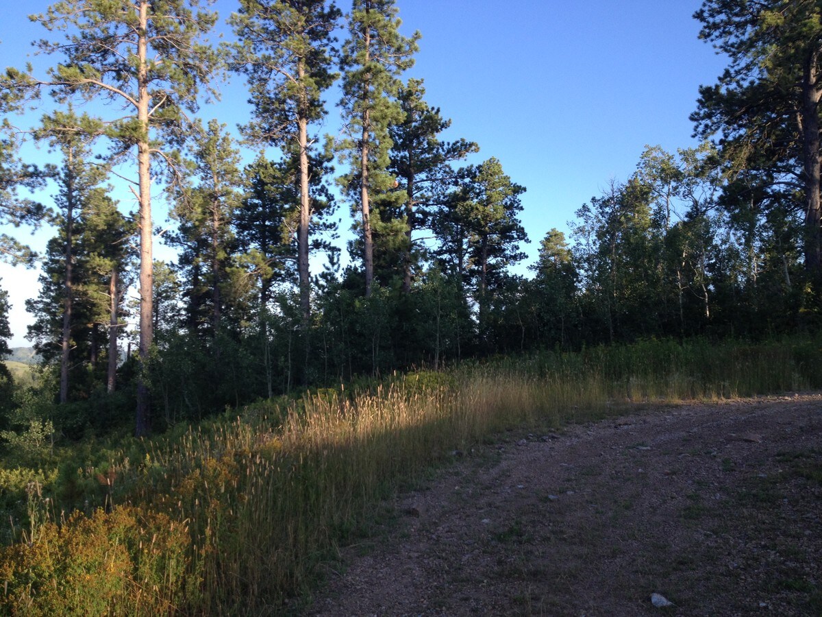 Morning Star Ln, Lead, SD 57754