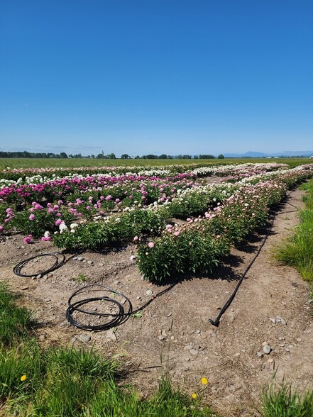 35730 Highway 20 SE, Albany, OR for sale - Building Photo - Image 3 of 27
