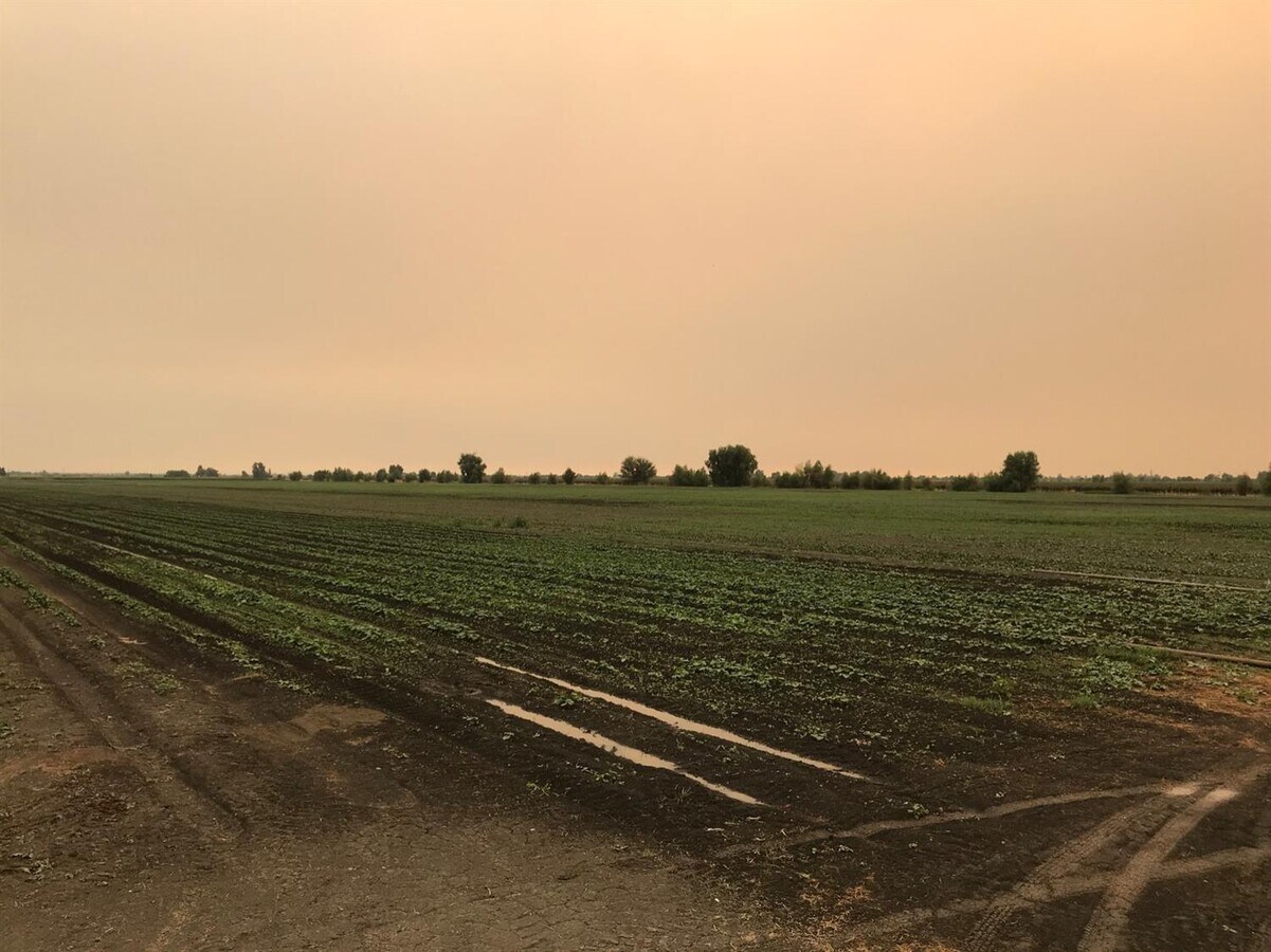 Willow Point Rd, Clarksburg, CA 95612