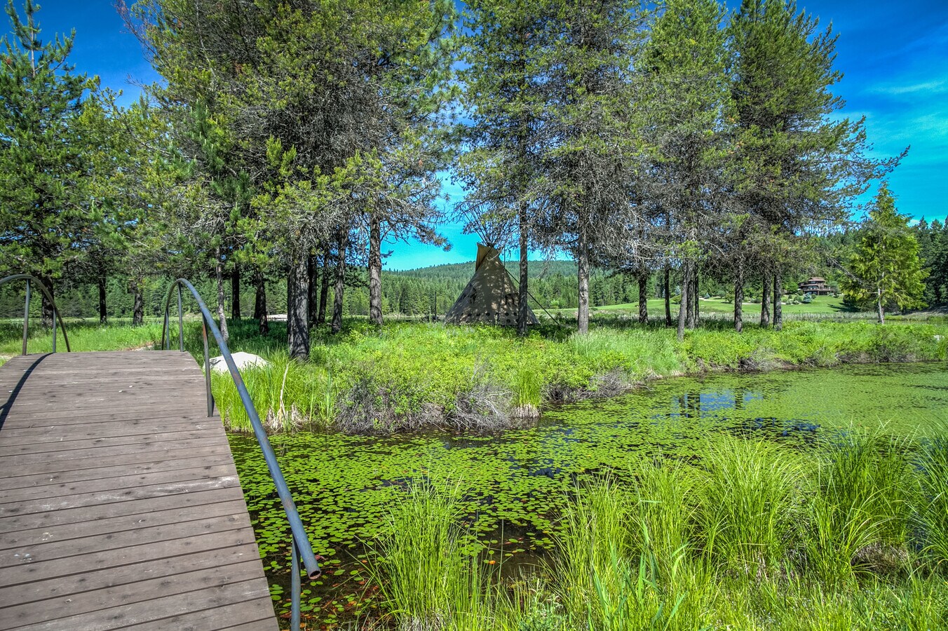 View Photo