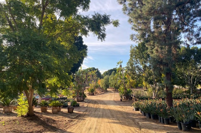 1505 Reche Rd, Fallbrook, CA 92028 Vacant Land