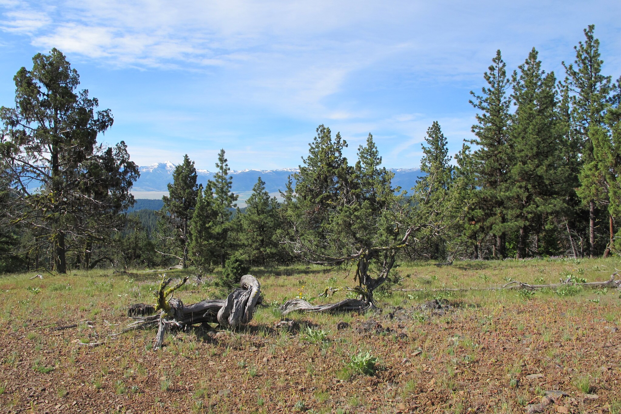 Hall Creek Rd, John Day, OR for sale Other- Image 1 of 1