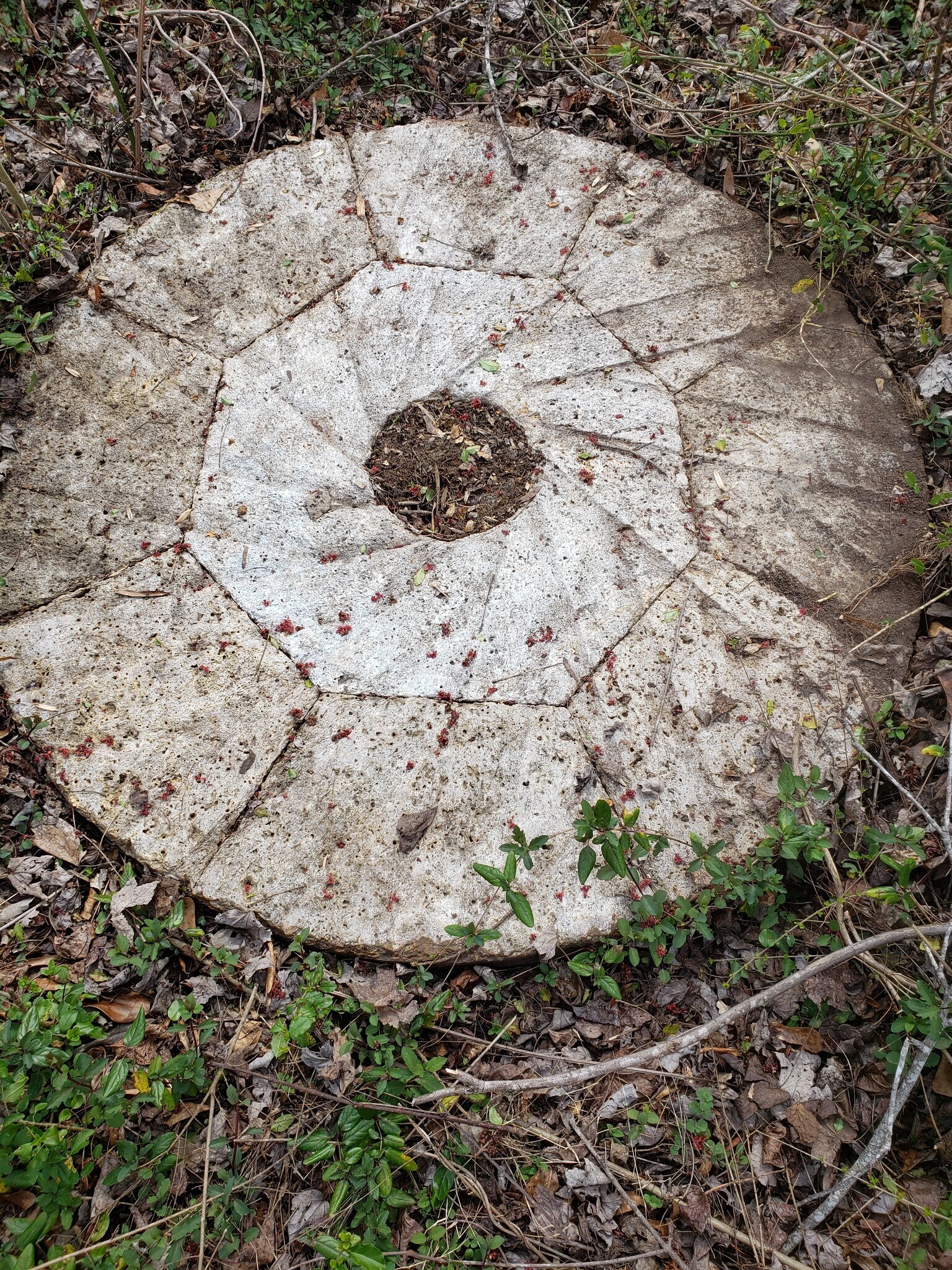 8214 Panther Lake Rd, Willow Spring, NC for sale Other- Image 1 of 1