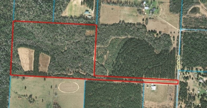 9200 Gibson Rd, Molino, FL for sale - Primary Photo - Image 1 of 1