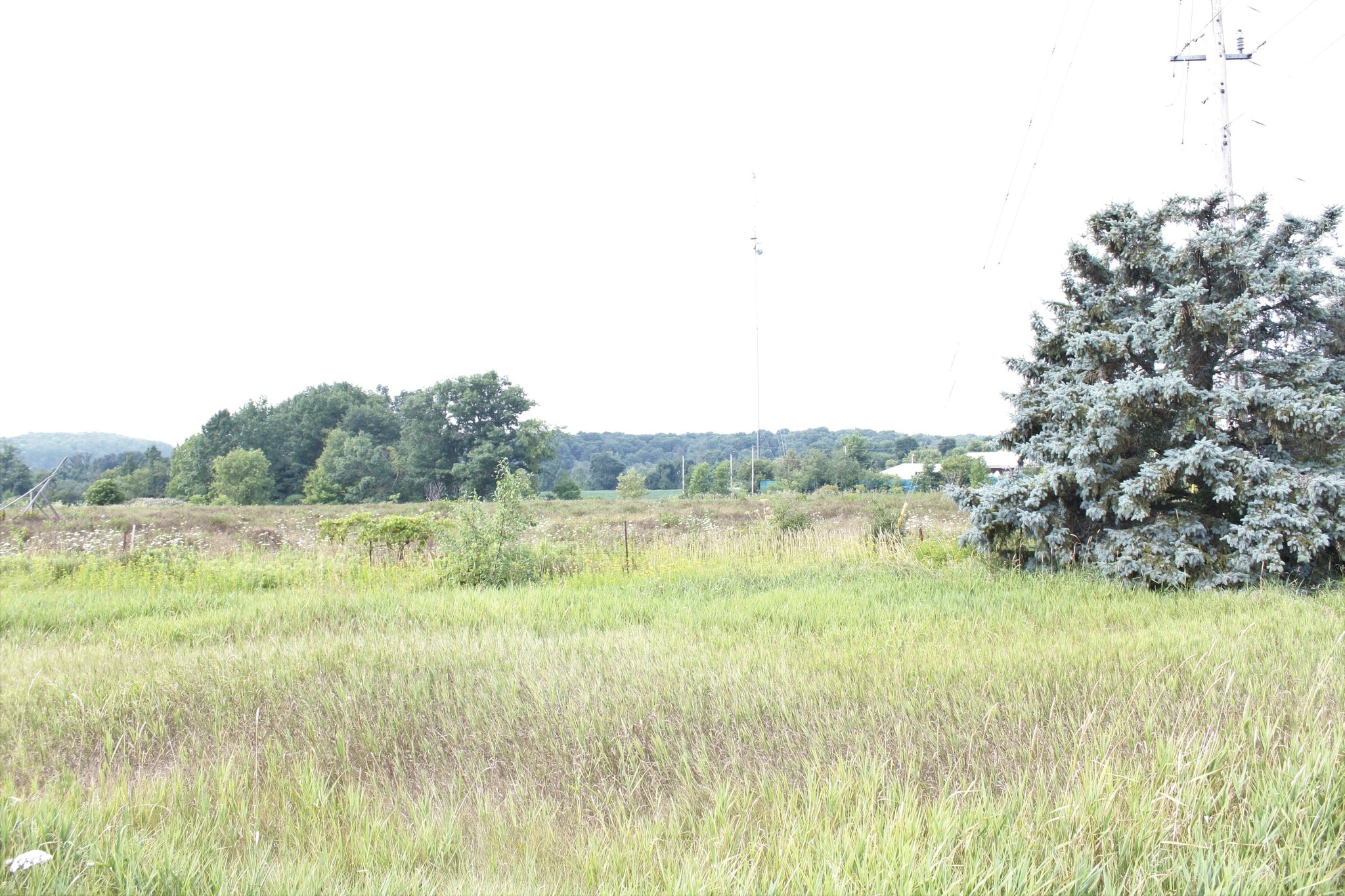 0 Dale Rd, Port Hope, ON for sale Other- Image 1 of 1