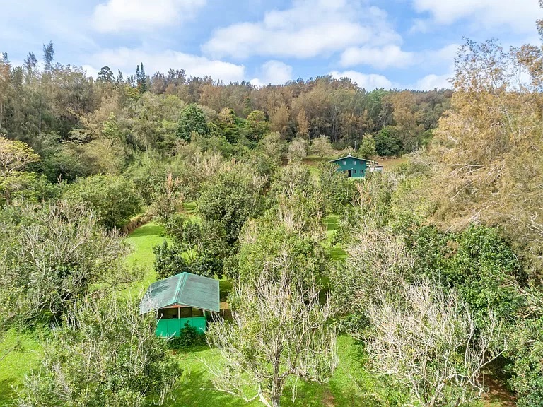 47-4630 Mauka Cane Haul Rd, Honokaa, HI for sale - Building Photo - Image 3 of 22