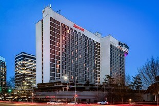 Stamford Marriott Hotel & Spa - Bar