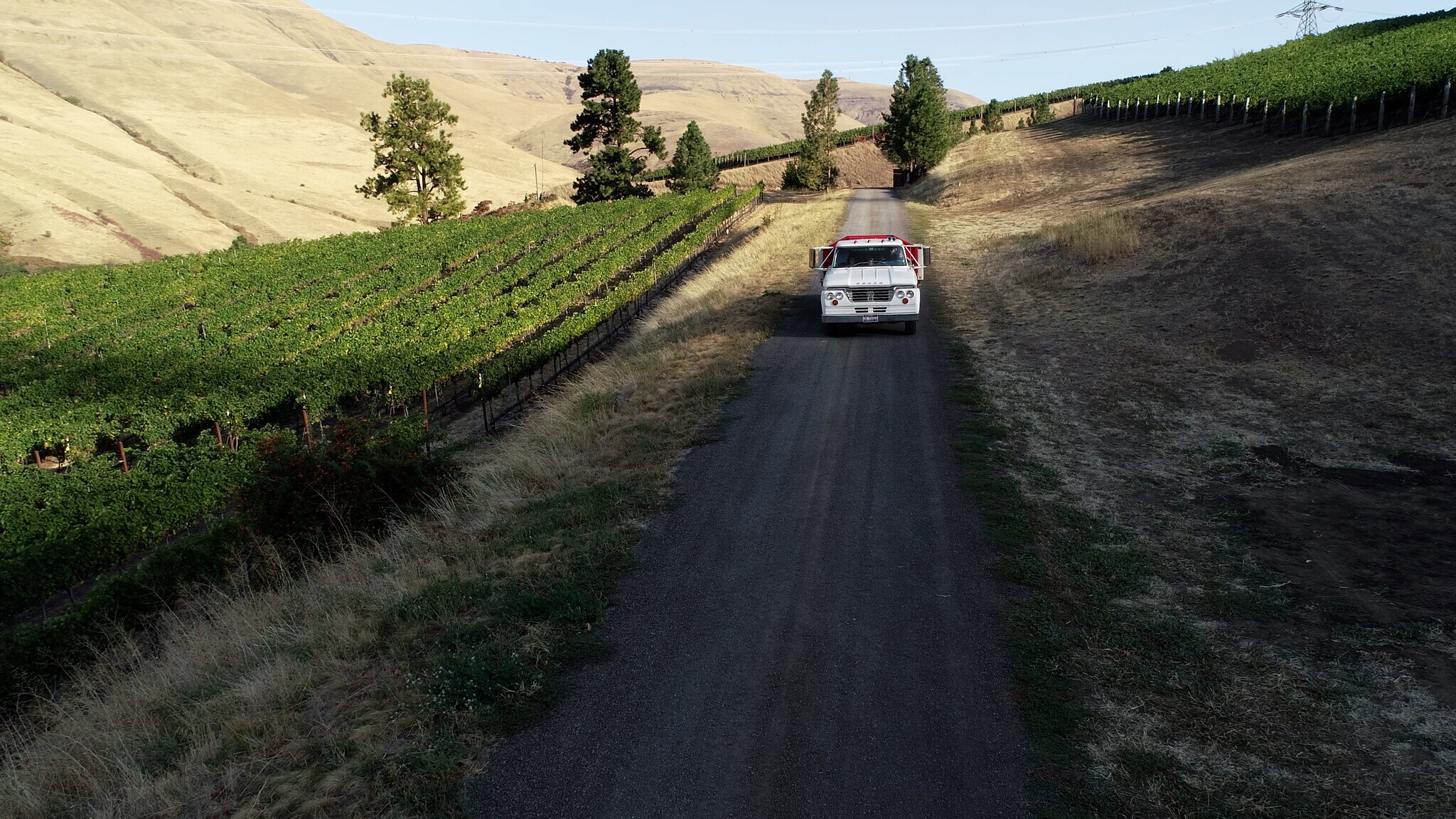 20154 Colter Creek Ln, Juliaetta, ID 83535 Colter's Creek Winery