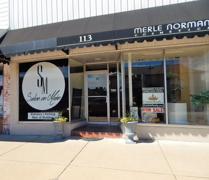 113 S Main St, Morton, IL for sale - Building Photo - Image 1 of 1