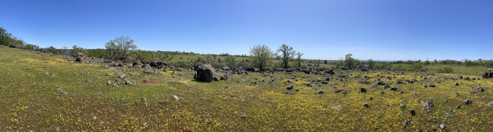 295 Honey Run Road run, Chico, CA for sale Other- Image 1 of 13