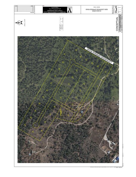 9200 Lockwood Springs Rd, Manor, TX for sale - Site Plan - Image 3 of 3