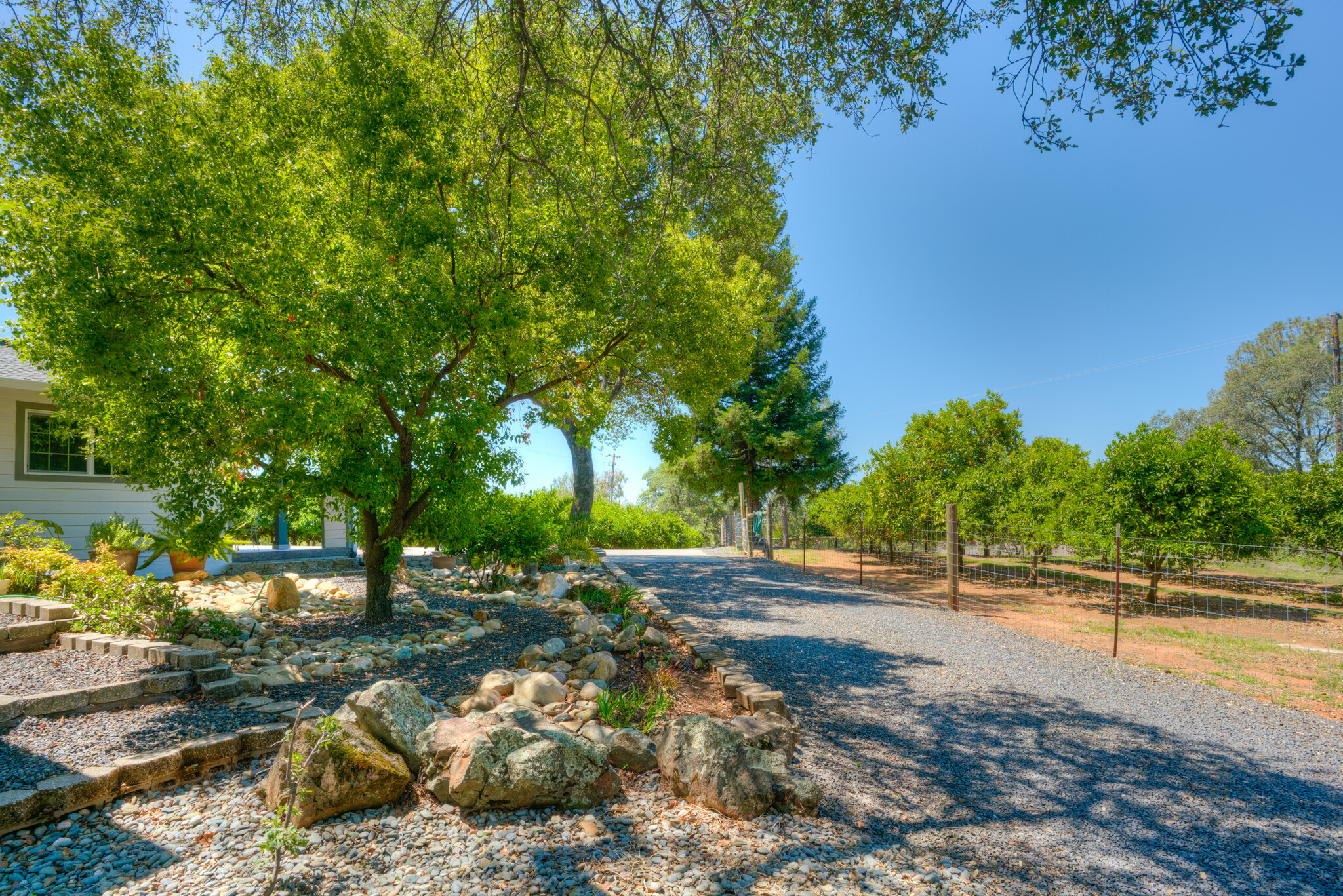 78 Circle View Dr, Oroville, CA 95966 - Tri-L Mandarin Farms in East ...