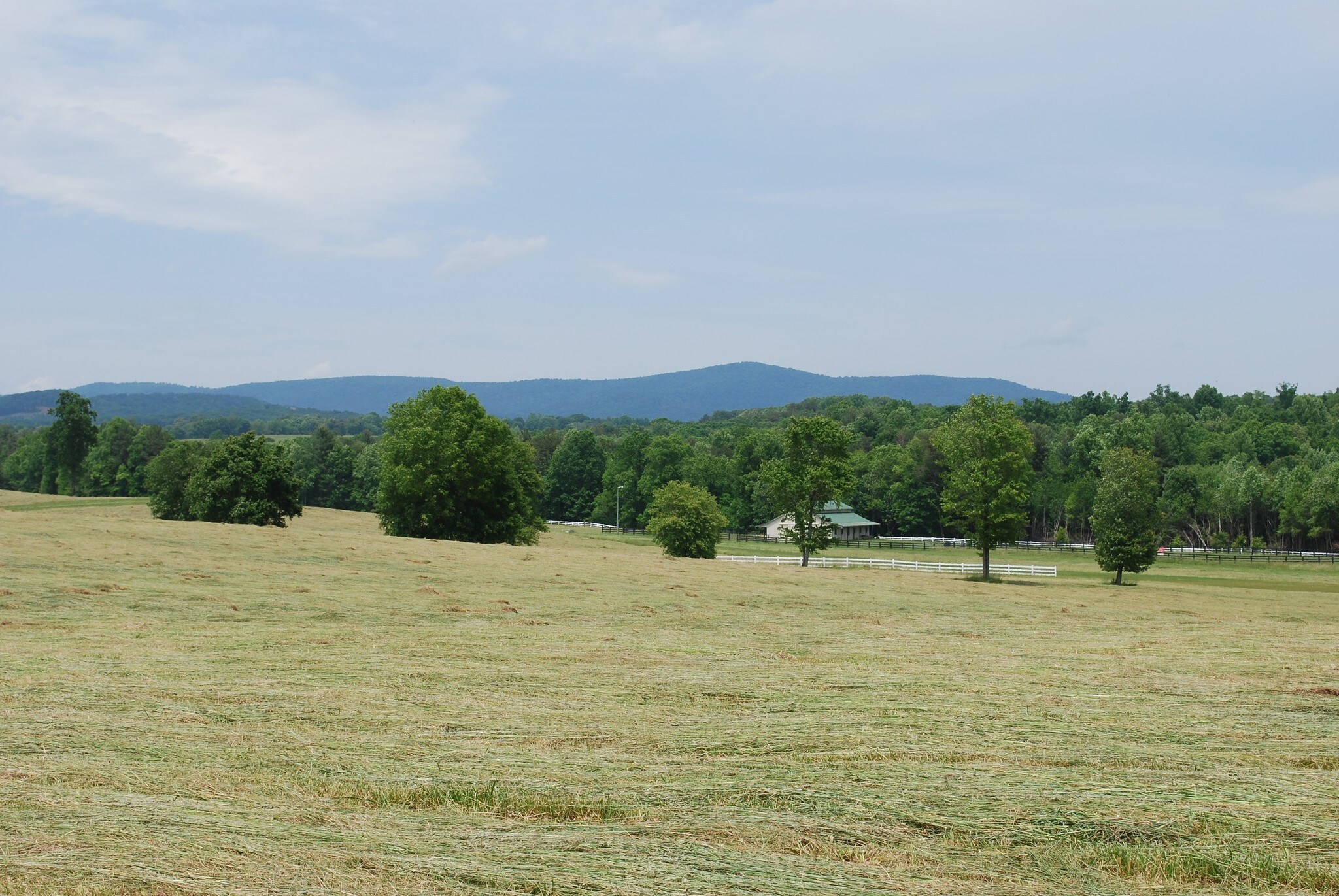 555 Acre Family Estate Tract, Clarkesville, GA for sale Primary Photo- Image 1 of 1