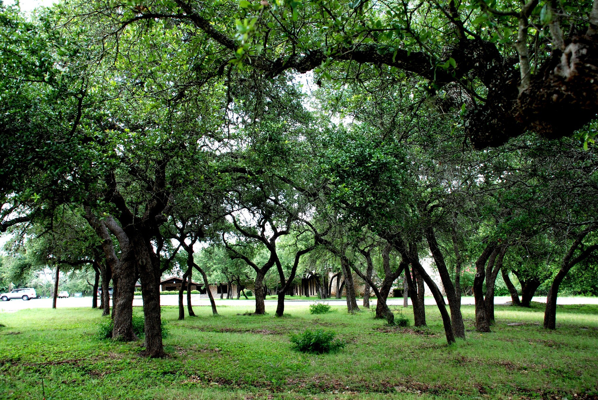 501 Old Kyle Rd, Wimberley, TX for sale Building Photo- Image 1 of 1