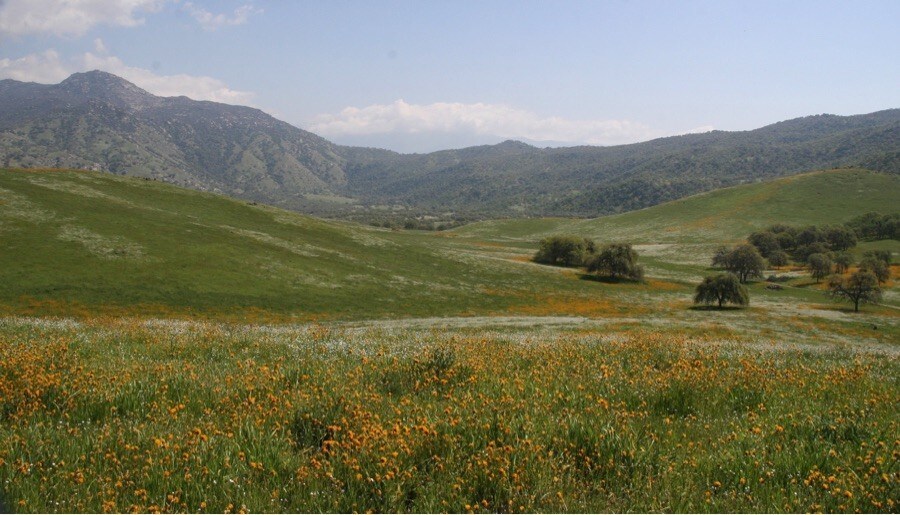 5570 Caliente Bodfish Rd, Caliente, CA for sale - Building Photo - Image 1 of 1