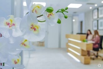 Paseo Castellana, 91, Madrid, Madrid for lease Interior Photo- Image 2 of 12