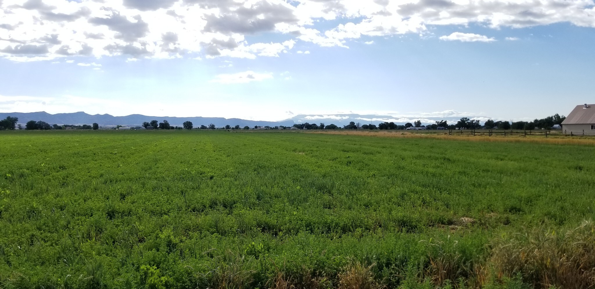 1920 K Rd, Fruita, CO 81521