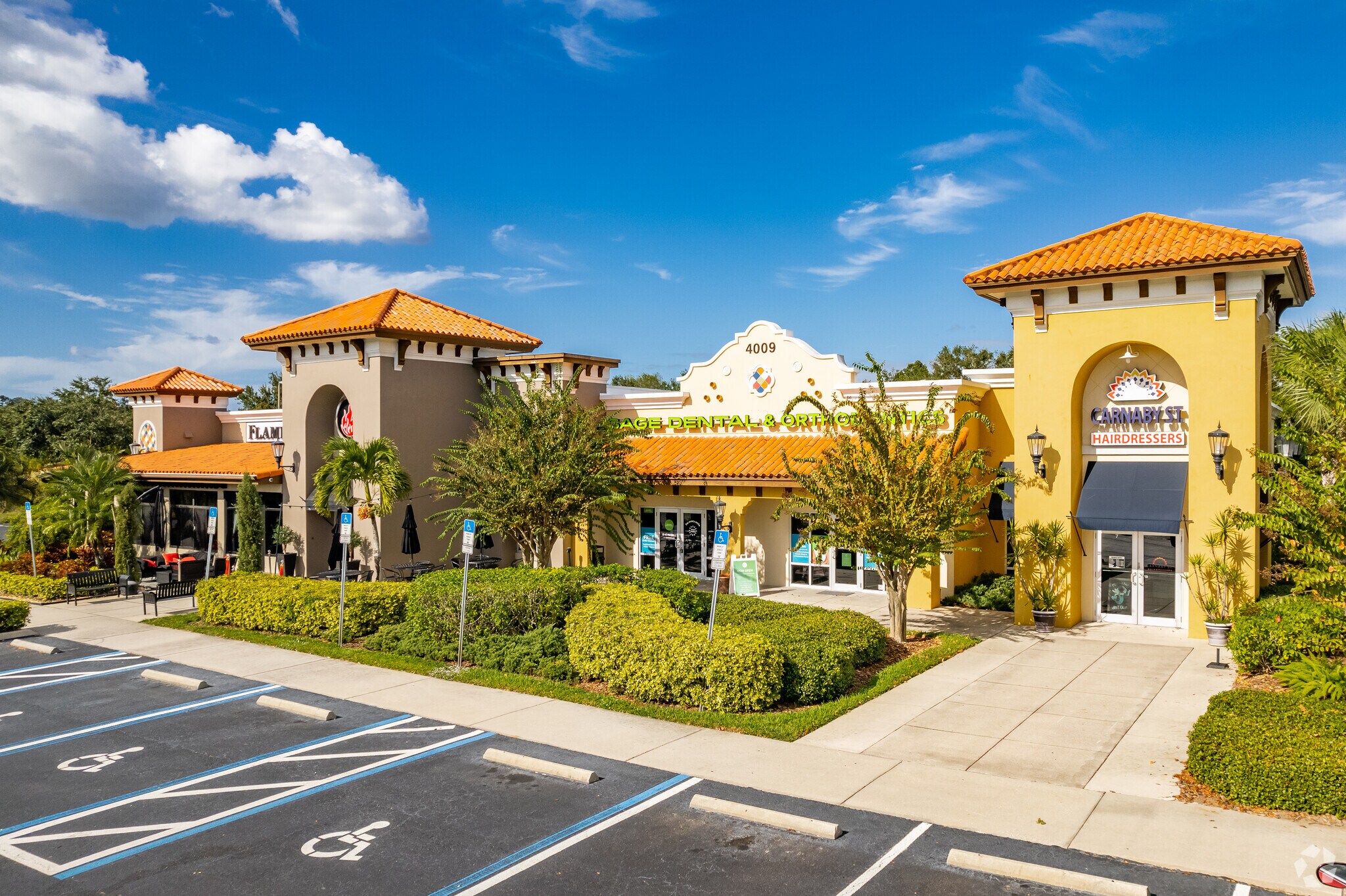 4009 Tampa Rd, Oldsmar, FL for sale Primary Photo- Image 1 of 1