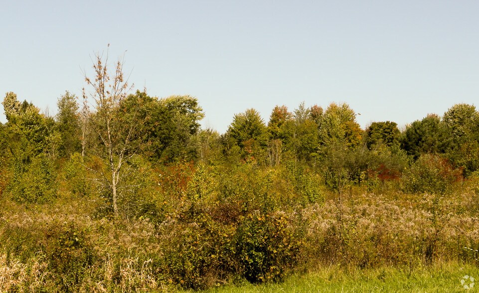 SR 82 Rd, Aurora, OH for sale - Primary Photo - Image 1 of 1