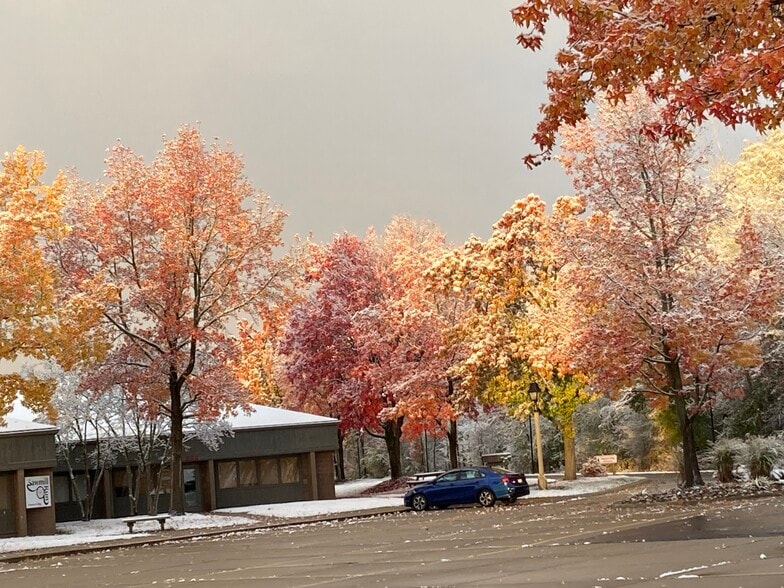 1245 S Cleveland Massillon Rd, Akron, OH for lease - Building Photo - Image 3 of 11