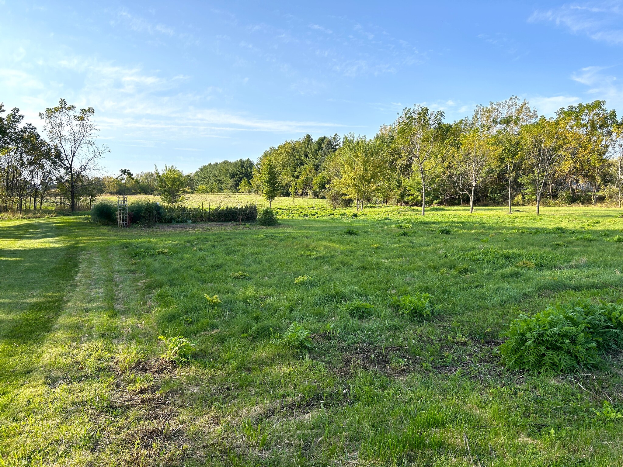 5345 Lacy rd, Fitchburg, WI for sale Primary Photo- Image 1 of 4