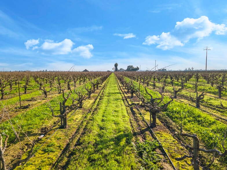 14248 Peltier rd, Acampo, CA for sale - Primary Photo - Image 1 of 34