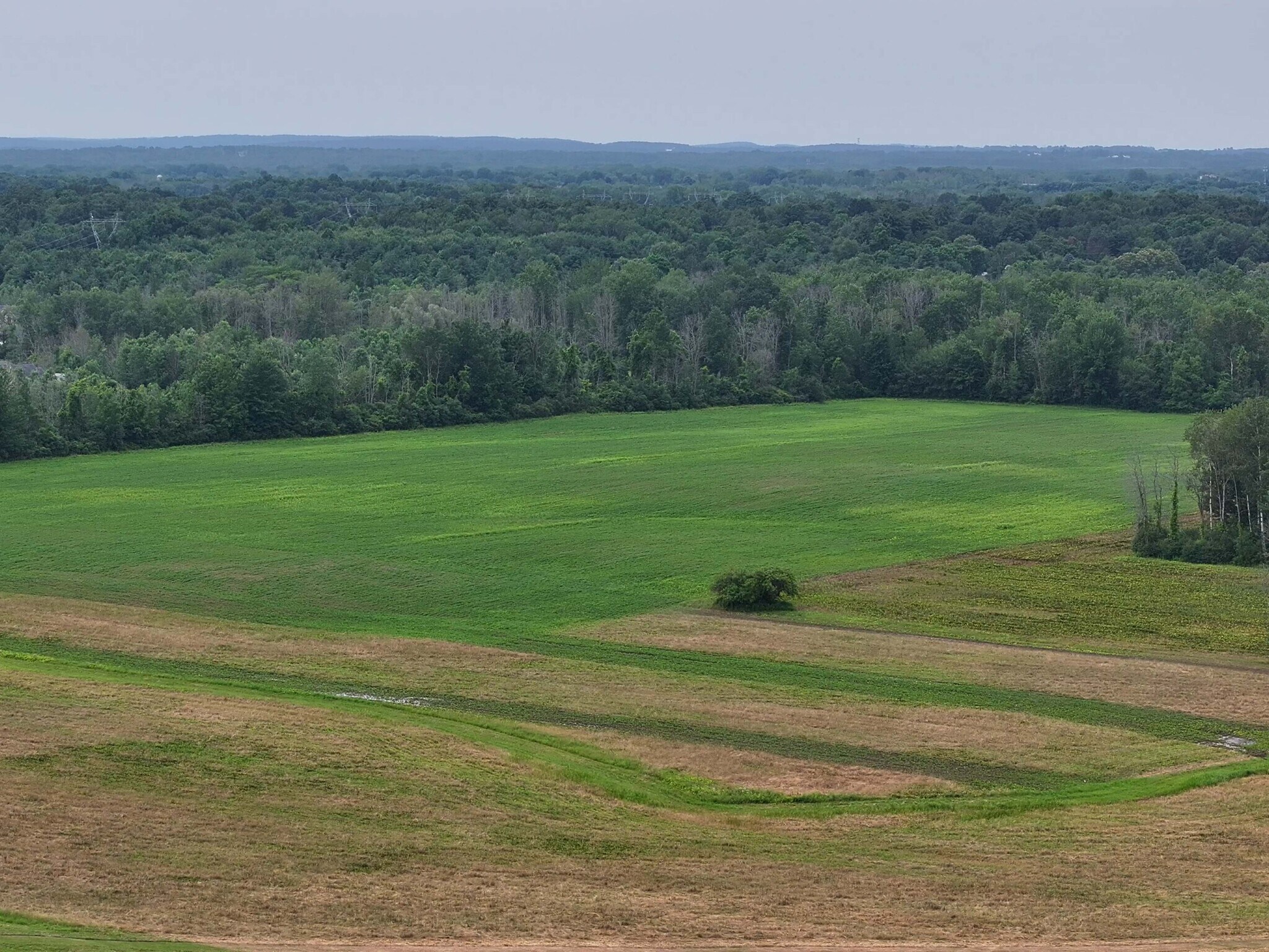 4885 Verplank Rd, Clay, NY 13041 Florczyk Property Verplank