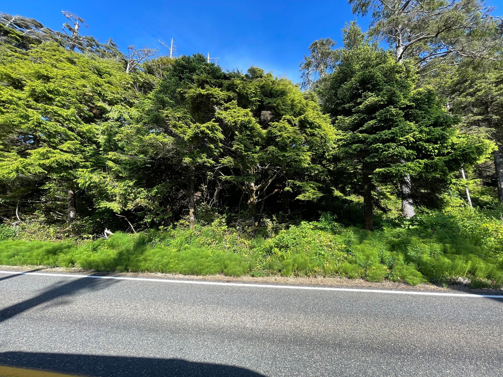 4122 State Route 109 Copalis Beach, Copalis Beach, WA for sale Primary Photo- Image 1 of 1