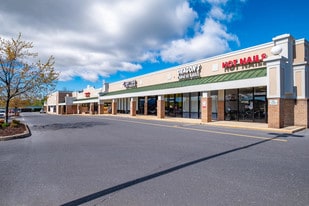 Shenandoah Valley Plaza-Ollie's Anchored - Storefront Property