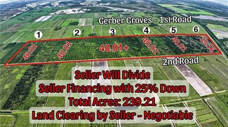 More details for 2nd Road Rd, Labelle, FL - Land for Sale