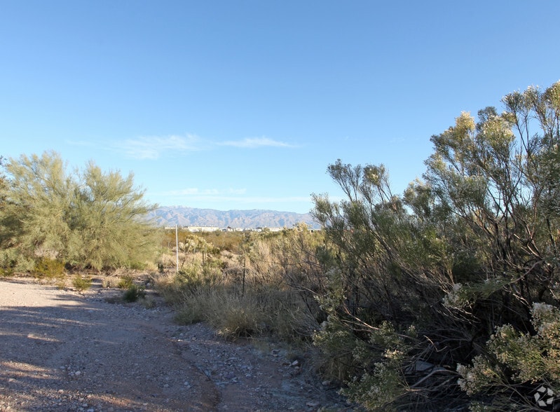 6455 S Wilmot Rd, Tucson, AZ for lease - Building Photo - Image 2 of 4