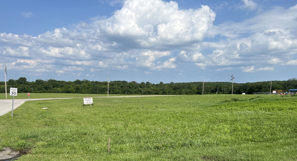 Holder Drive and Thomasville Road, Houston, MO for sale - Primary Photo - Image 1 of 3