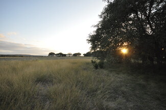 More details for 100 Farm To Market 165, Dripping Springs, TX - Land for Sale