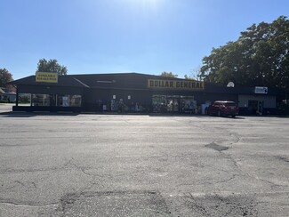 More details for 110 S Chapman St, Chesaning, MI - Flex for Lease