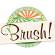 City of Brush