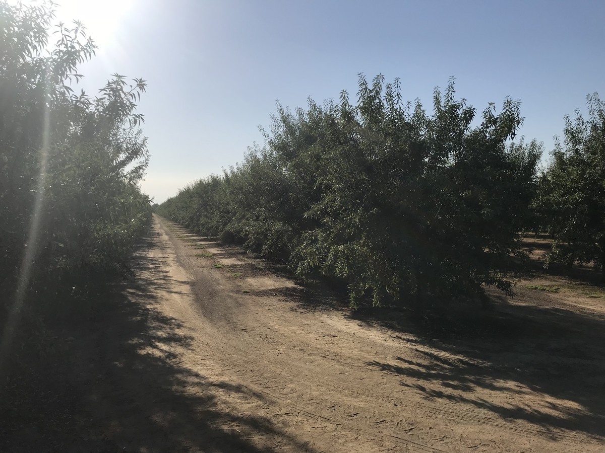 48 AVENUE, Earlimart, CA 93219 Land for Sale