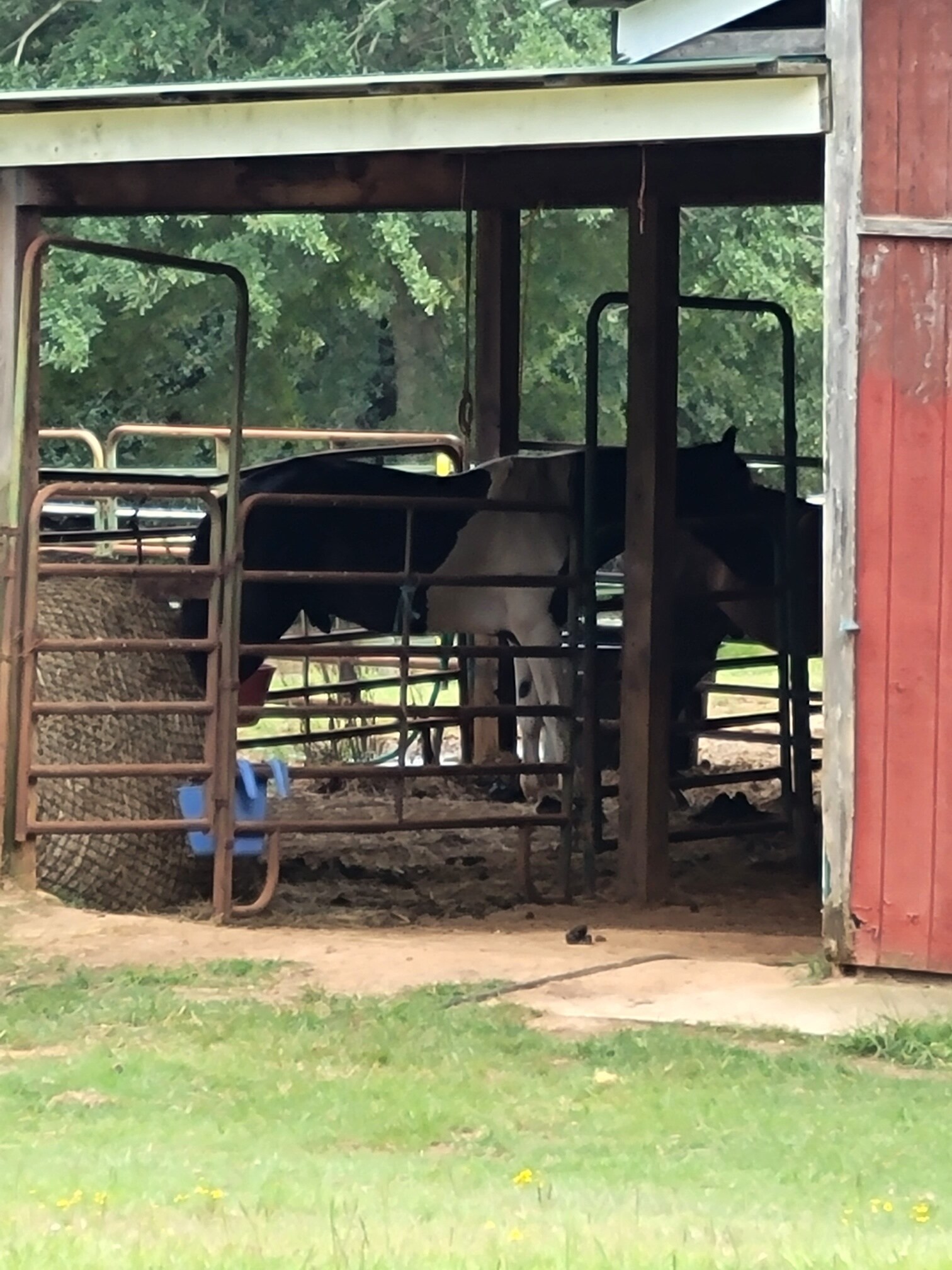 1088 Loth Wages Rd, Dacula, GA 30019 - Sharona Farms (Horse) Farm | LoopNet