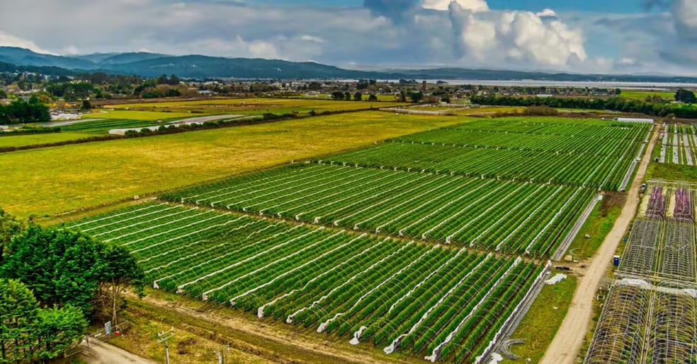 3160 Upper Bay Rd, Arcata, CA for lease - Building Photo - Image 2 of 5