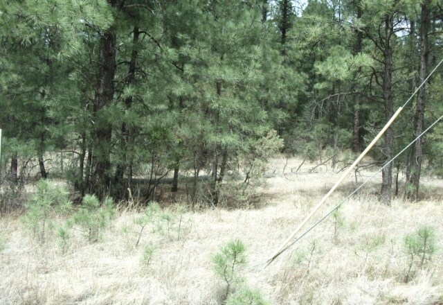Gavilan Canyon Rd, Ruidoso, NM for sale Building Photo- Image 1 of 1