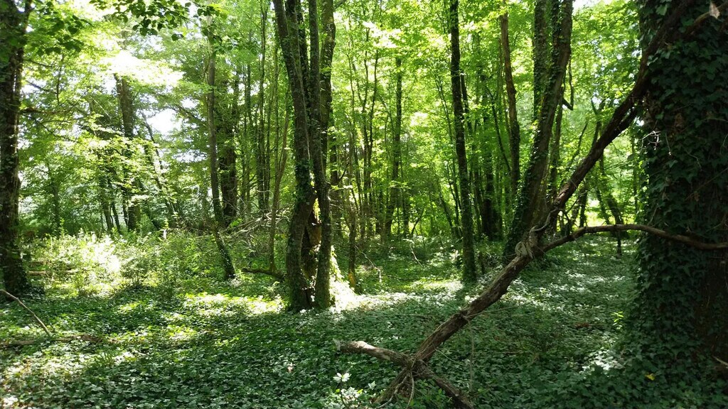 Vente Terrain  - Photo 1