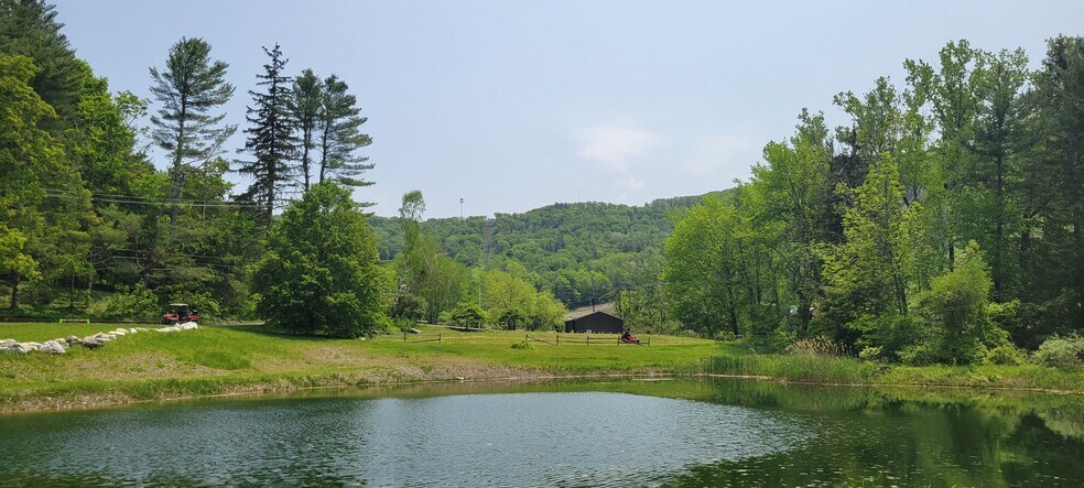 38 Catamount Rd, Hillsdale, NY for sale - Primary Photo - Image 1 of 1