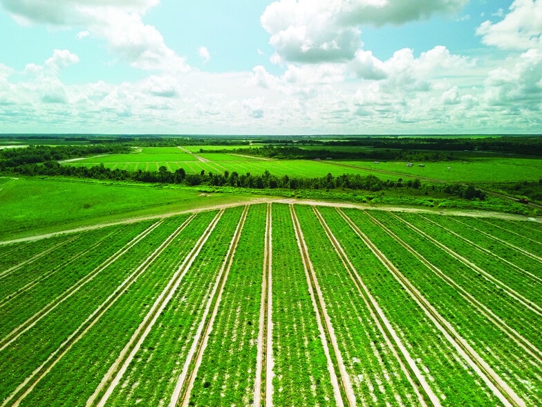 40105 Ballard Rd, Myakka City, FL for lease - Aerial - Image 3 of 10