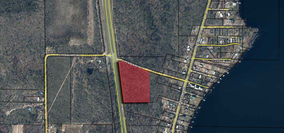 Hwy 231 & City Square Rd, Alford, FL for sale - Other - Image 2 of 2