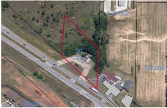 More details for S Highway 231 & Mance Newton Rd, Midland City, AL - Land for Sale