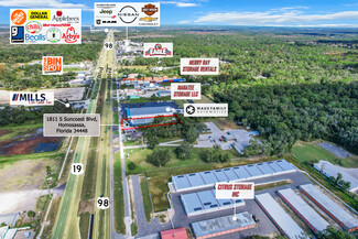 More details for 1811 S Suncoast Blvd, Homosassa, FL - Retail for Sale