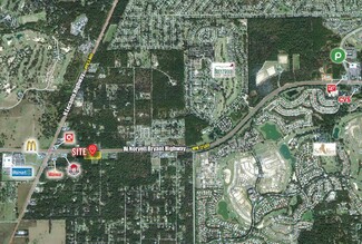 More details for 2744 W Norvell Bryant Hwy, Lecanto, FL - Land for Sale